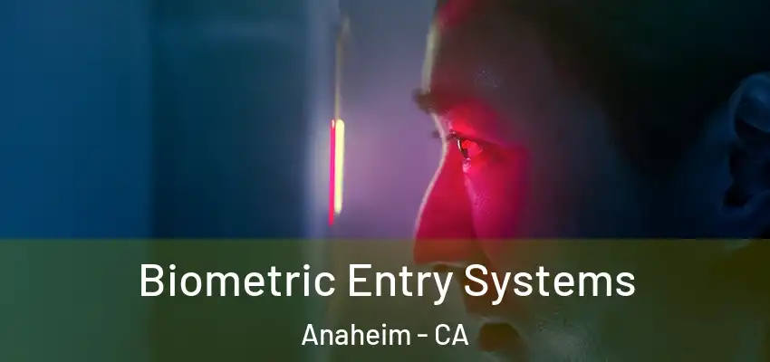 Biometric Entry Systems Anaheim - CA