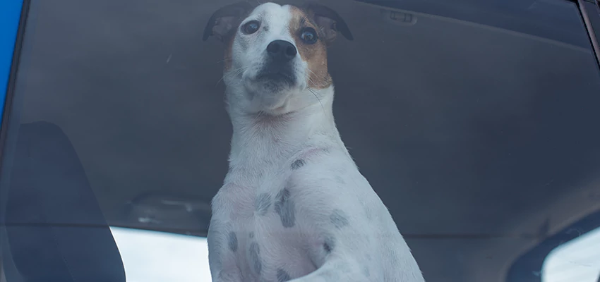 Car Lockout Solutions in Anaheim, California