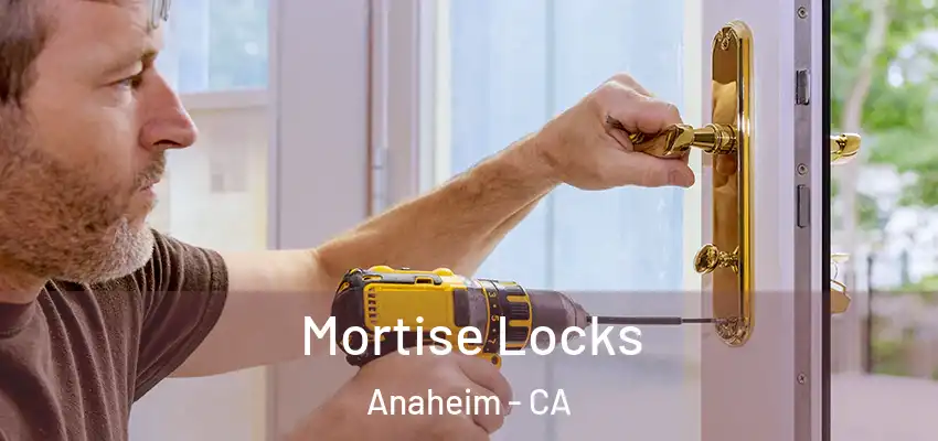 Mortise Locks Anaheim - CA