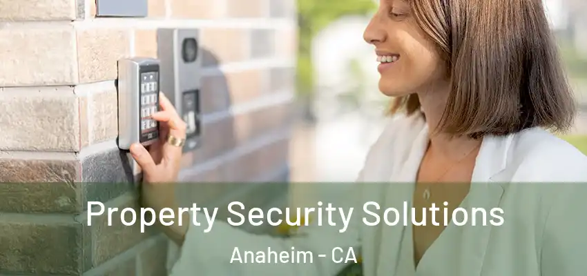 Property Security Solutions Anaheim - CA